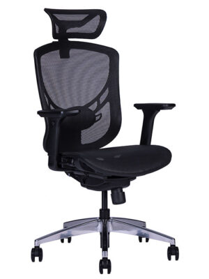 ACCESS RESPALDO ALTO